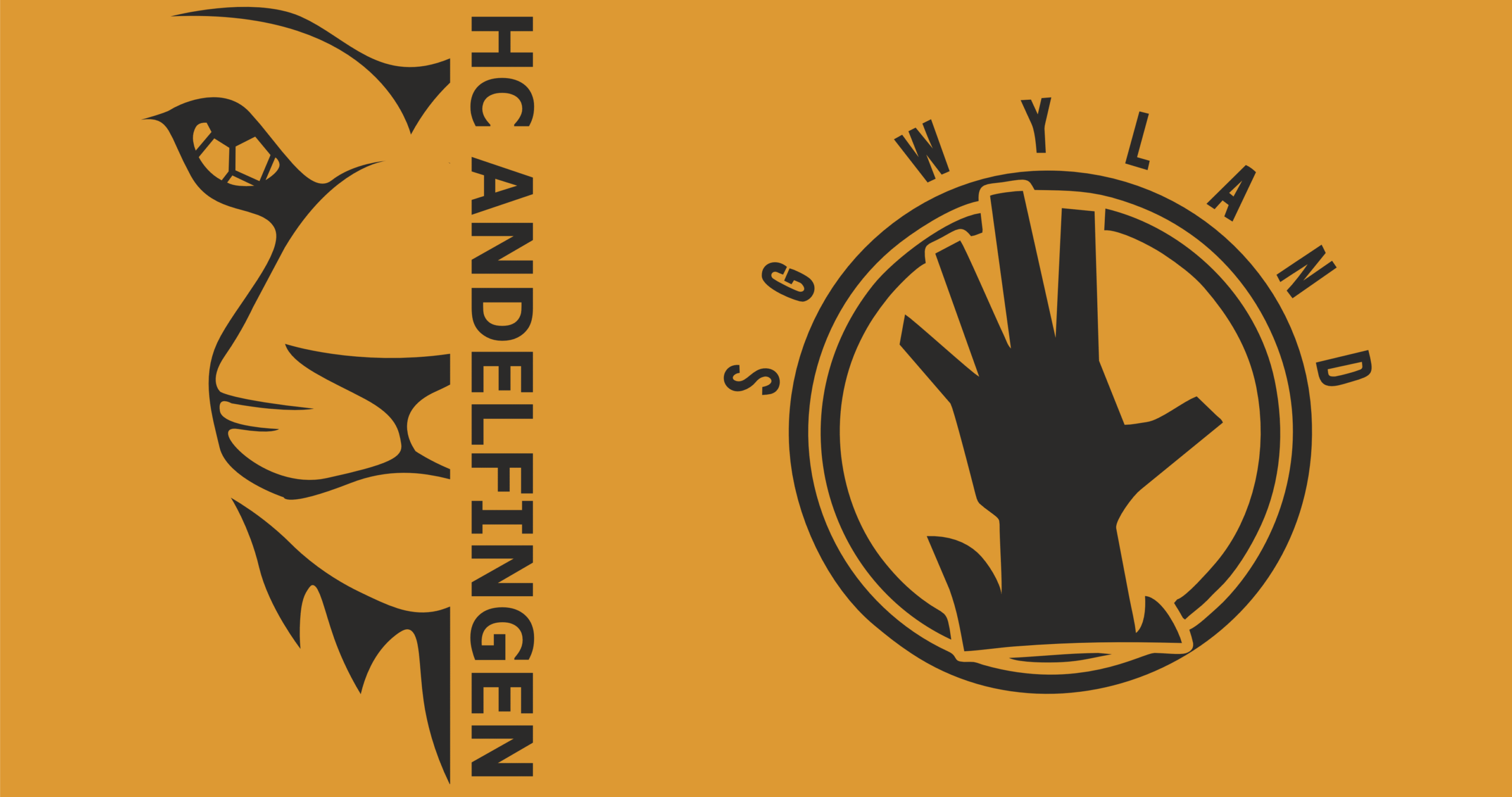 Handballclub Andelfingen Webshop